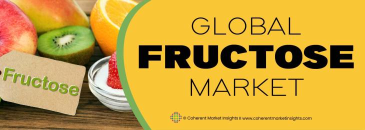 Major Players - Fructose Industry