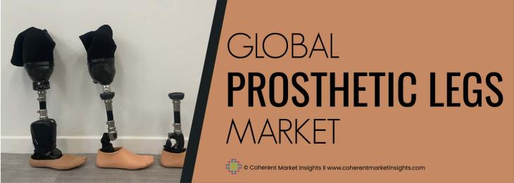 Leading Companies - Prosthetic legs Industry