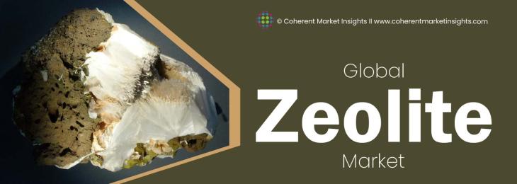 Major Players - Zeolite Industry