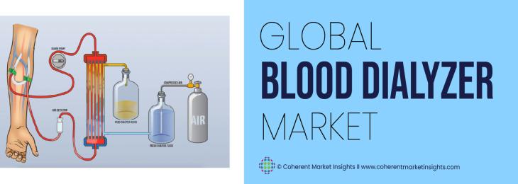 Major Players - Blood Dialyzer Industry