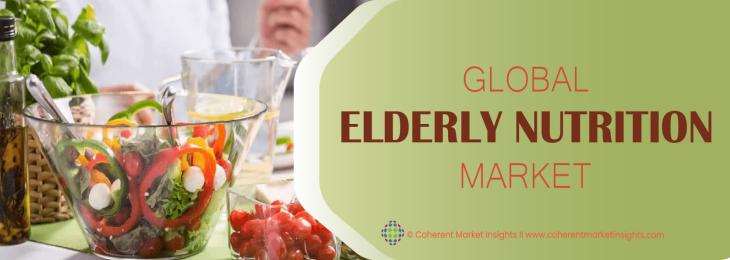 Major Players - Elderly Nutrition Industry