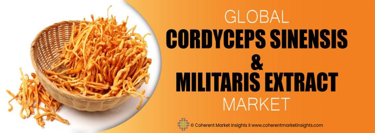 Major Players  - Cordyceps Sinensis And Militaris Extract Industry