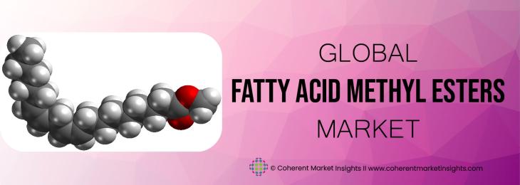 Leading Companies - Fatty Acid Methyl Esters Industry 