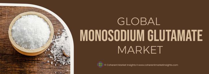 Major Players - Monosodium Glutamate Industry 