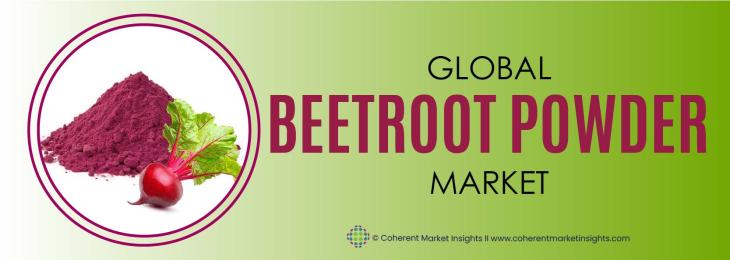 Top Companies - Beetroot Powder Industry