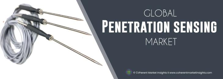 Prominent Players - Penetration Testing Industry