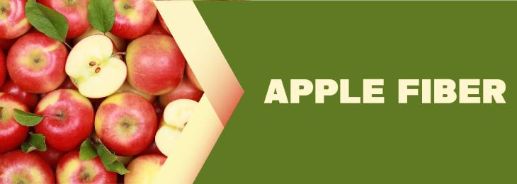 Leading Companies - Apple Fiber Industry