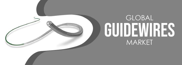 Prominent Players - Guidewires Industry