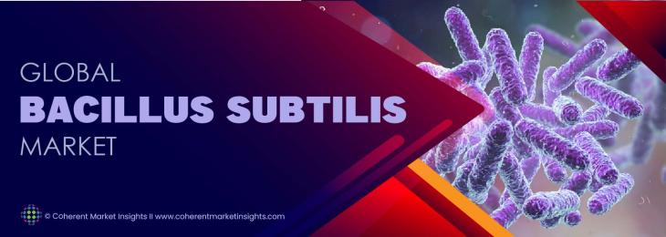 Prominent Players - Bacillus Subtilis Industry