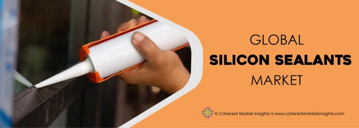 Top Companies - Silicon sealants Industry