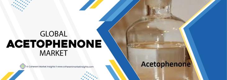 Major Players - Acetophenone Industry