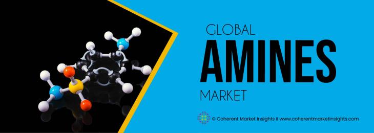 Major Players - Amines Industry