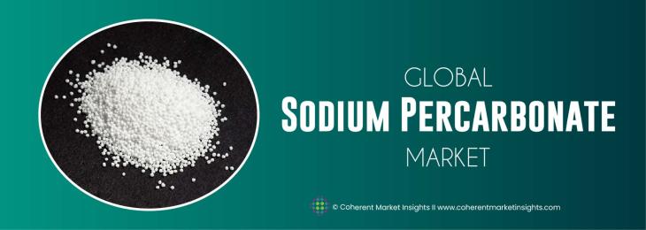 Prominent Companies - Sodium Percarbonate Industry