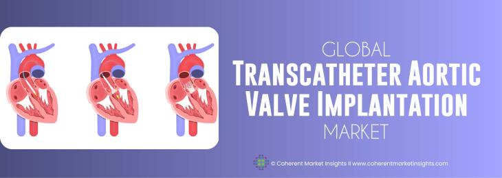 Leading Companies - Transcatheter Aortic Valve Implantation Industry