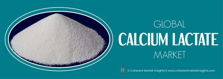 Leading Companies - Calcium Lactate Industry