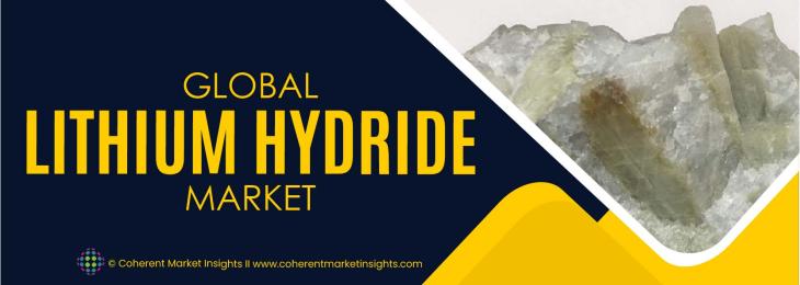 Top Companies - Lithium hydride Industry