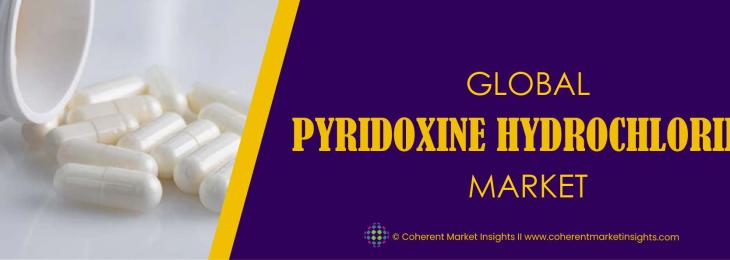 Major Players - Pyridoxine Hydrochloride Industry