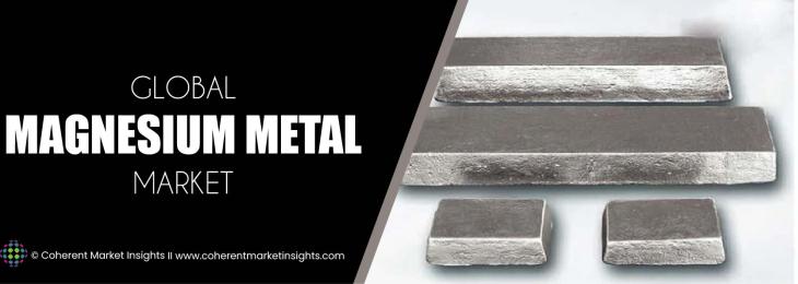 Top Companies - Magnesium Metal Industry