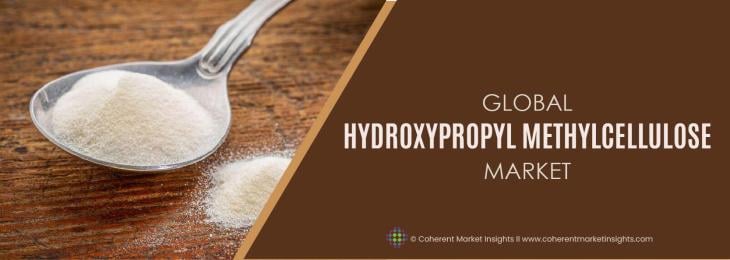 Leading Companies - Hydroxypropyl Methylcellulose Industry