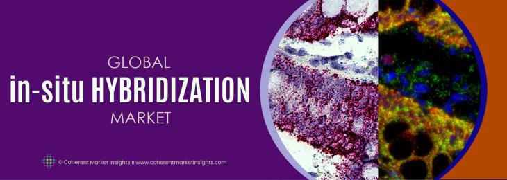 Top Companies - In-Situ hybridization Industry