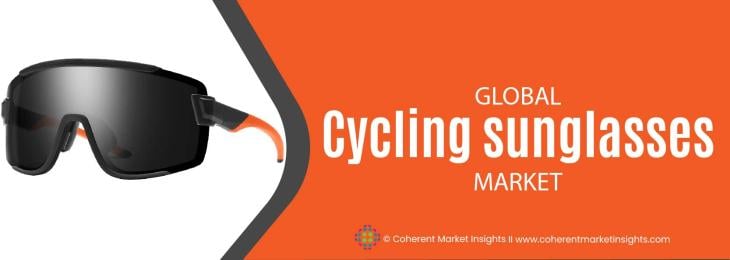 Top Companies - Cycling Sunglasses Industry