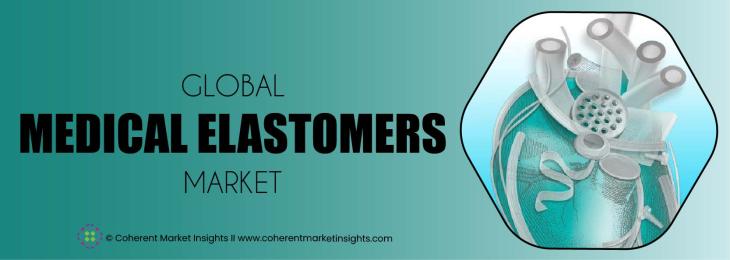 Leading Companies - Medical Elastomers Industry