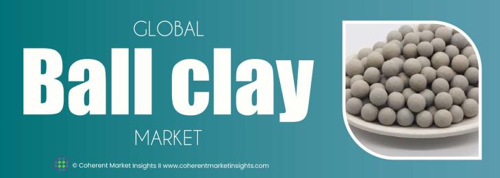 Prominent Players - Ball Clay Industry