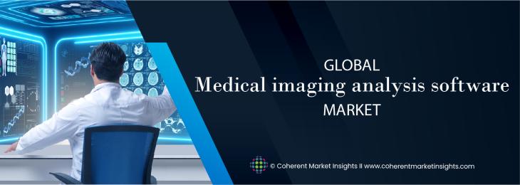 Major Players - Medical Imaging Analysis Software Industry