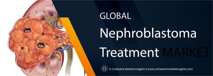 Leading Companies - Nephroblastoma Treatment Industry