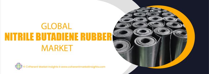 Prominent Companies - Nitrile Butadiene Rubber Industry