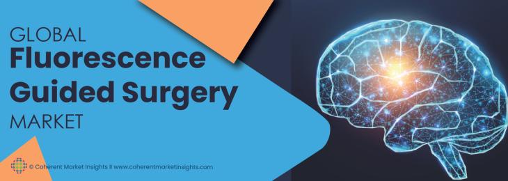 Leading Companies - Fluorescence Guided Surgery Systems Industry