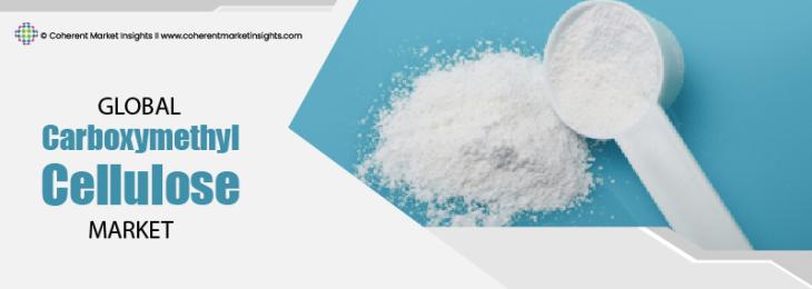 Major Players - Carboxymethyl Cellulose  Industry