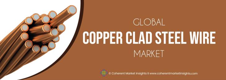  Key Manufacturers - Copper Clad Steel Wire Industry