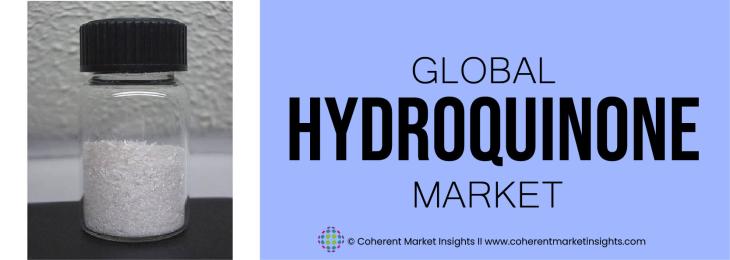 Key Competitors - Hydroquinone Industry