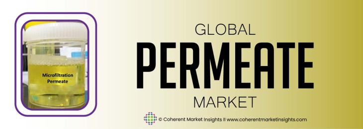 Prominent Players - Permeate Industry