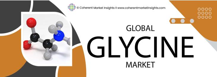 Key Competitors - Glycine Industry