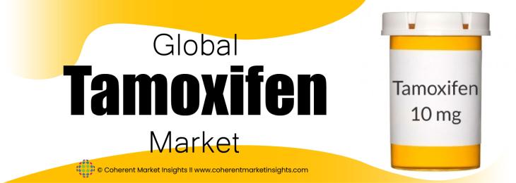 Major Players - Tamoxifen Industry