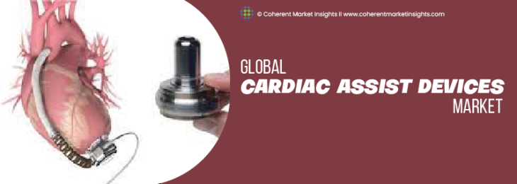 Leading Companies - Cardiac Assist Devices Industry