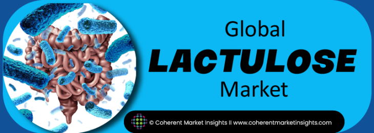 Major Players - Lactulose Industry