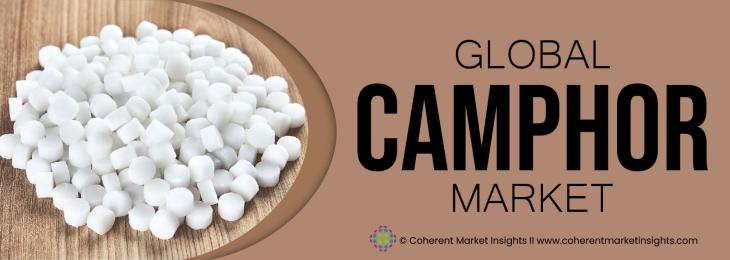 Key Competitors - Camphor Industry