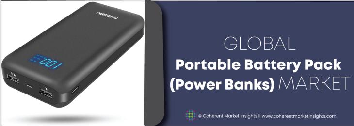 Leading Companies - Portable Battery Pack (Power Banks) Industry
