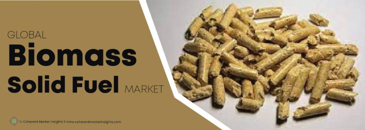 Key Competitors - Biomass Solid Fuel Industry