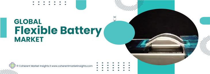 Major Players - Flexible Battery Industry