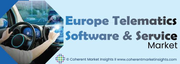 Leading Companies - Europe Telematics Software and Service Industry