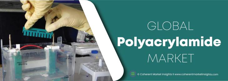 Prominent Companies - Polyacrylamide Industry