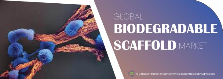 Major Players - Biodegradable Scaffold Industry