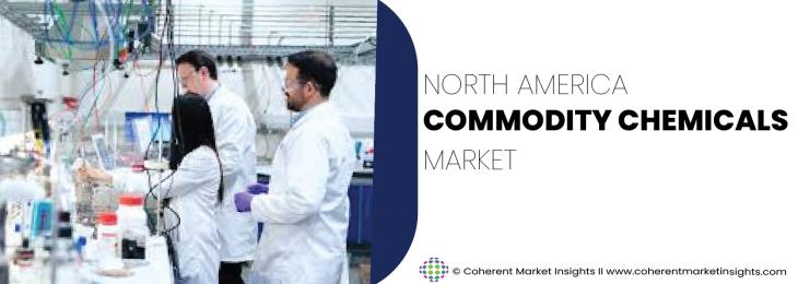 Major Players - North America Commodity Chemicals Industry