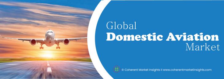 Major Players - Domestic Aviation Industry