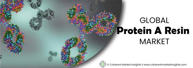 Prominent Players - Protein A Resin Industry