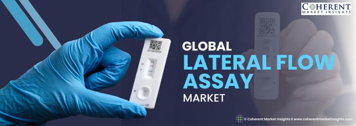 Leading Companies - Lateral Flow Assay  Industry 